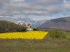 ISLAND_14_25