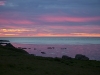 ISLAND_14_36