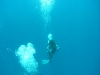 Underwater - Malediven                                          